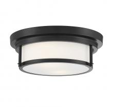 B2B Spec Brand M60062MBK - 2-Light Ceiling Light in Matte Black