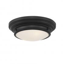 B2B Spec Brand M60063MBK - 2-Light Ceiling Light in Matte Black