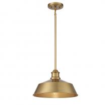 B2B Spec Brand M7021NB - 1-Light Pendant in Natural Brass